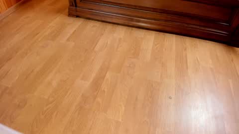 Monika NO c2c ever. PVT free Naked Fingering pussy doggy or standing BJ HJ Feet Fashion. PVT extra Toy control 400tk. online show from 01-25-25, 07:39