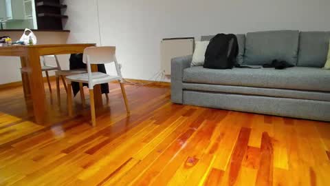 Monikfree online show from 12-05-24, 04:23