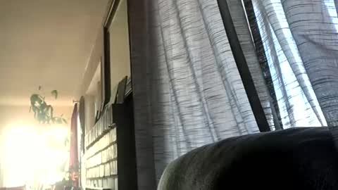 Snapshot of monkeedance chatting on 12-17-24, 05:36 Monkee Dance online show from 12-17-24, 05:36