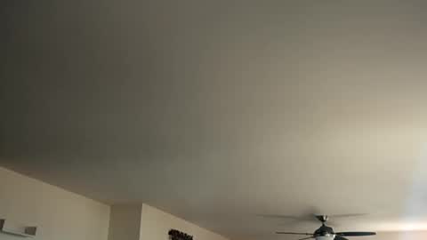 Snapshot of monkeedance chatting on 01-12-25, 05:44 Monkee Dance online show from 01-12-25, 05:44