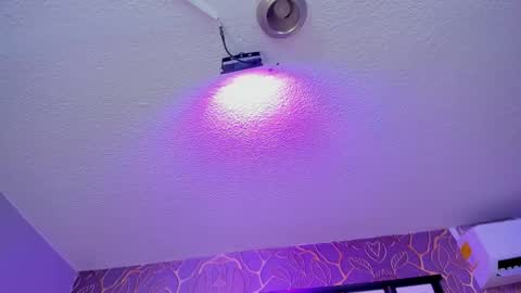   online show from 12-16-25, 04:06