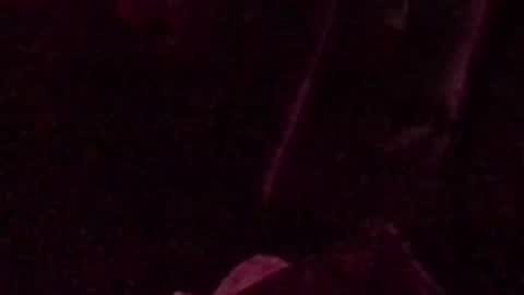 Snapshot of montydxxx2 chatting on 09-14-25, 03:05 montydxxx2 online show from 09-14-25, 03:05