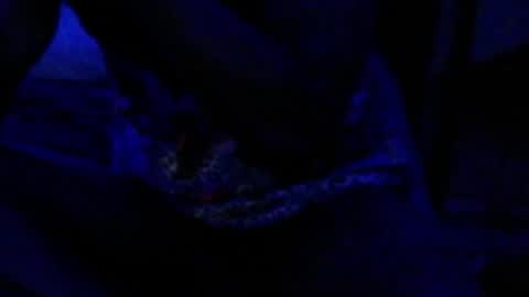 montydxxx2 online show from 12-17-25, 04:35