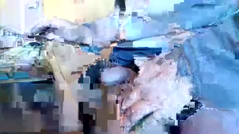 Snapshot of mookie2 chatting on 01-11-25, 09:47 mookie2 online show from 01-11-25, 09:47