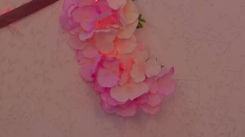 Im a independent model  Welcome online show from 04-12-26, 04:34