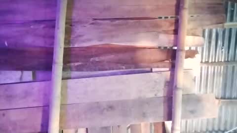 moon_roxee online show from 01-04-25, 07:13