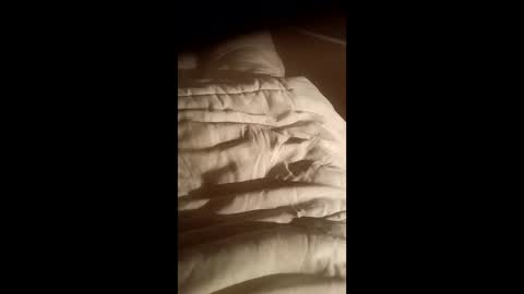 moos1 online show from 10-15-25, 07:03