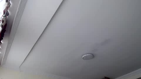 Abelardo online show from 10-29-25, 03:03