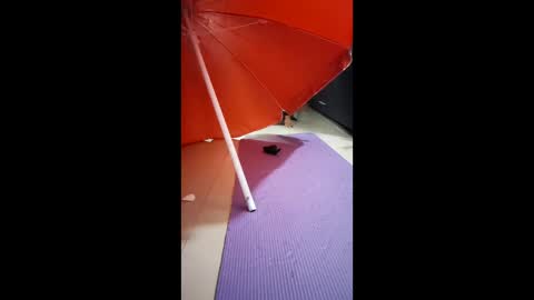 Snapshot of morbucksrica chatting on 02-15-26, 03:25 morbucksrica online show from 02-15-26, 03:25