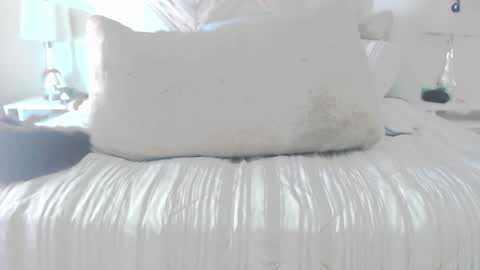 Snapshot of moreofthis chatting on 03-02-26, 05:20 Didier online show from 03-02-26, 05:20