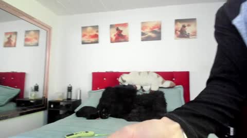 Snapshot of mr_andresr chatting on 12-23-24, 04:50 Andy online show from 12-23-24, 04:50