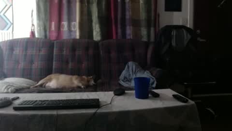 mr_happy12 online show from 09-23-25, 01:19