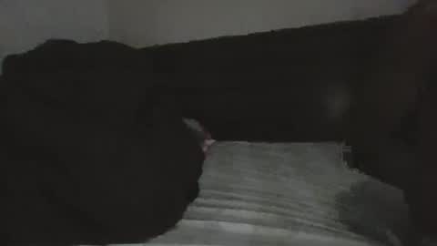 Snapshot of mr_hooked chatting on 11-18-25, 04:06 mr hooked online show from 11-18-25, 04:06