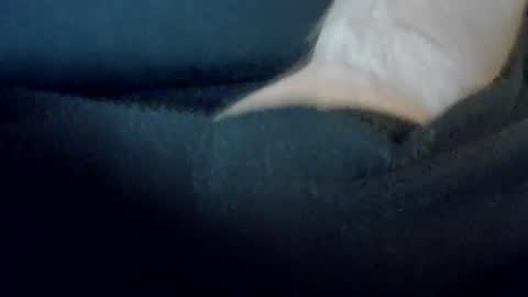Snapshot of mrfun888 chatting on 12-01-24, 06:30 mrfun888 online show from 12-01-24, 06:30