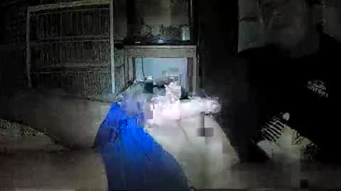 Snapshot of mrgray11xxx chatting on 12-08-24, 05:01 mrgray11xxx aussie online show from 12-08-24, 05:01