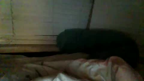 Snapshot of mrgray11xxx chatting on 12-20-24, 02:38 mrgray11xxx aussie online show from 12-20-24, 02:38