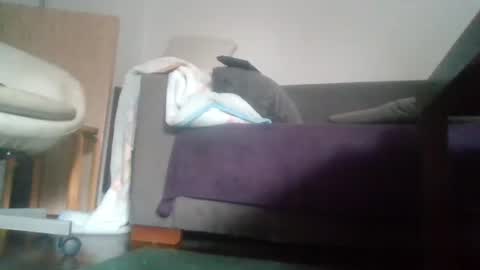 Nikola online show from 10-18-25, 09:54