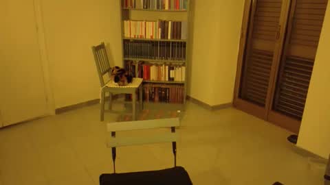 mrkurt86 online show from 11-21-25, 04:49