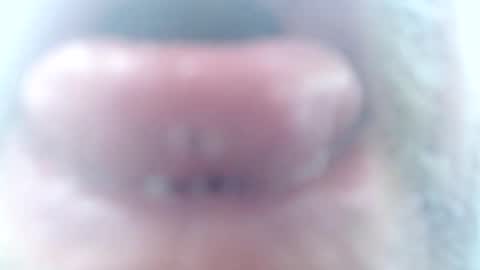 Snapshot of mrtease5 chatting on 02-02-26, 11:31 mrtease5 online show from 02-02-26, 11:31