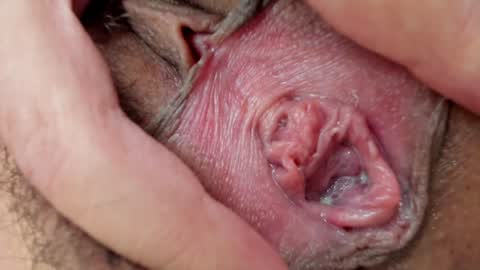 Snapshot of ms_pickless chatting on 01-26-25, 03:14 Annabelle  online show from 01-26-25, 03:14