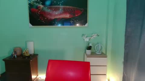 msmeygan online show from 12-10-24, 11:43