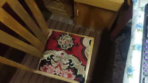 zenon online show from 12-20-25, 10:06