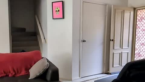 Snapshot of mudjimba chatting on 12-16-24, 10:56 mudjimba online show from 12-16-24, 10:56