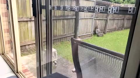 Snapshot of mudjimba chatting on 12-17-24, 06:02 mudjimba online show from 12-17-24, 06:02