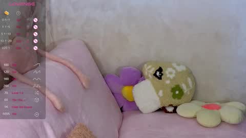 Snapshot of muerta1 chatting on 10-01-25, 08:53 muerta1 online show from 10-01-25, 08:53