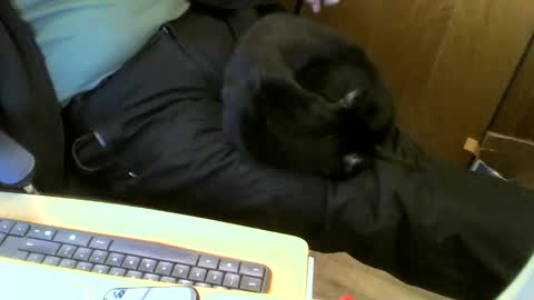 muller520 online show from 01-22-25, 07:03