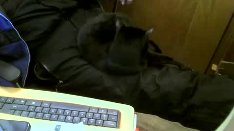 muller520 online show from 02-12-25, 04:55