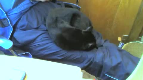 muller520 online show from 09-15-25, 02:50