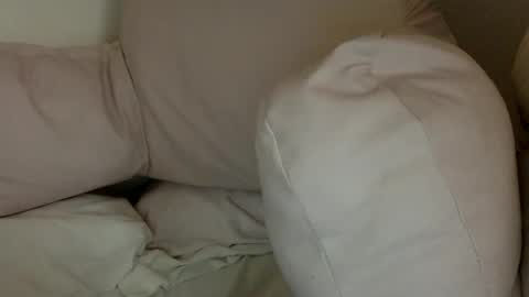 Snapshot of munchi_ chatting on 12-29-24, 10:03   online show from 12-29-24, 10:03