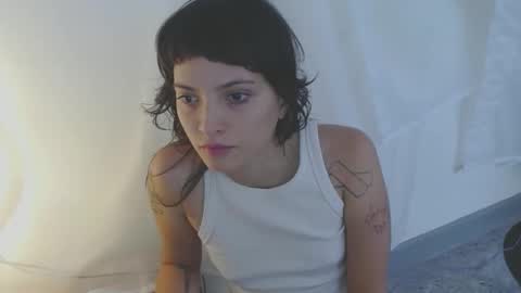   online show from 11-19-25, 04:51