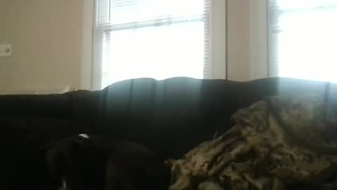 Snapshot of my_banana_creampies chatting on 02-19-26, 01:51 my_banana_creampies online show from 02-19-26, 01:51