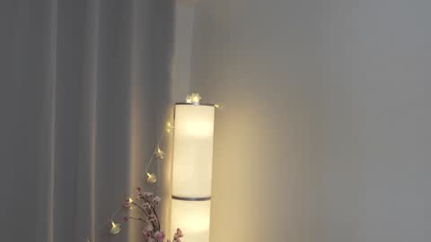 STELLA  Im here today online show from 01-28-25, 03:25