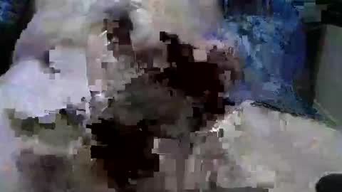 Snapshot of mycock594498 chatting on 01-09-25, 03:12 mycock594498 online show from 01-09-25, 03:12