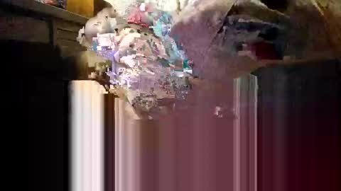 Snapshot of myhardlover chatting on 12-04-25, 11:19 Mmmm Feels Great online show from 12-04-25, 11:19