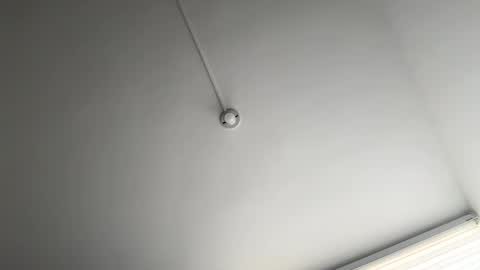 jacke BUNNY online show from 03-12-25, 08:52