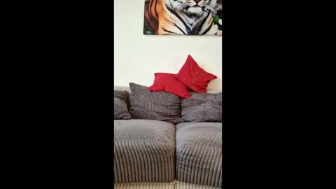 Snapshot of myrostus chatting on 03-04-26, 02:45 myrostus online show from 03-04-26, 02:45