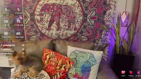 S A R A online show from 02-10-25, 08:21