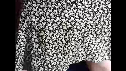 Snapshot of myself765 chatting on 02-18-25, 07:09 Sissy Mike online show from 02-18-25, 07:09