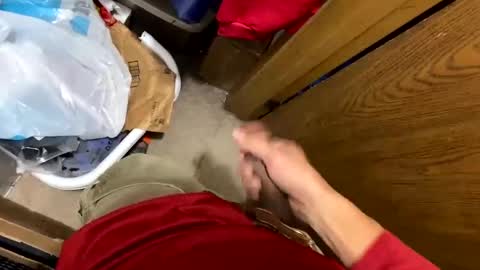 nairda2senoniuq online show from 12-05-24, 04:09