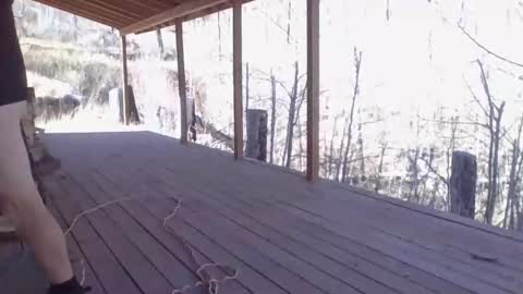 Naked Cabin Man online show from 11-14-25, 05:33