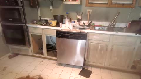 nakednate1780 online show from 12-06-24, 01:29