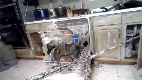 nakednate1780 online show from 03-03-25, 07:32