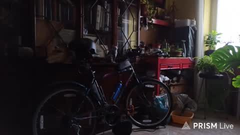 Naked Naturist online show from 02-13-26, 10:44