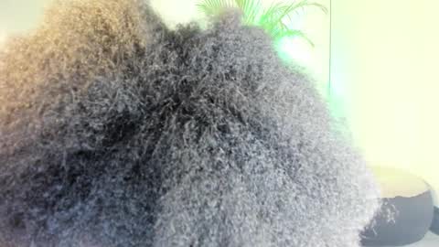 Naomii online show from 11-13-25, 12:31