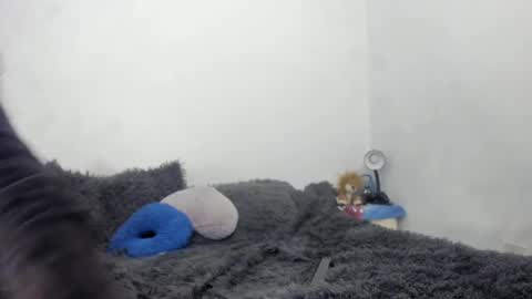 Nathaly online show from 09-15-25, 06:19