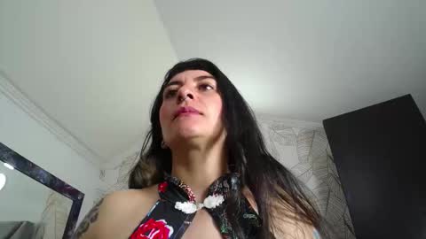 Kitten online show from 12-22-25, 11:07